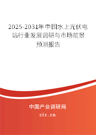 2025-2031年中國(guó)水上光伏電站行業(yè)發(fā)展調(diào)研與市場(chǎng)前景預(yù)測(cè)報(bào)告