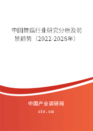 中國舞菇行業(yè)研究分析及前景趨勢（2022-2028年）