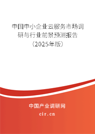 中國中小企業(yè)云服務(wù)市場調(diào)研與行業(yè)前景預(yù)測報(bào)告（2025年版）