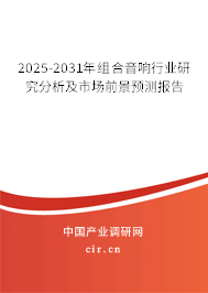 2025-2031年組合音響行業(yè)研究分析及市場(chǎng)前景預(yù)測(cè)報(bào)告 2025-2031年組合音響行業(yè)研究分析及市場(chǎng)前景預(yù)測(cè)報(bào)告