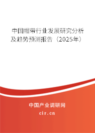 中國帽帶行業(yè)發(fā)展研究分析及趨勢預(yù)測報告(2025年) 中國帽帶行業(yè)發(fā)展研究分析及趨勢預(yù)測報告(2025年)