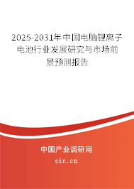 2025-2031年中國電腦鋰離子電池行業(yè)發(fā)展研究與市場前景預(yù)測報告