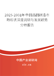 2025-2031年中國晶圓制造市場現(xiàn)狀深度調(diào)研與發(fā)展趨勢(shì)分析報(bào)告