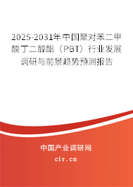 2025-2031年中國(guó)聚對(duì)苯二甲酸丁二醇酯(PBT)行業(yè)發(fā)展調(diào)研與前景趨勢(shì)預(yù)測(cè)報(bào)告 2025-2031年中國(guó)聚對(duì)苯二甲酸丁二醇酯(PBT)行業(yè)發(fā)展調(diào)研與前景趨勢(shì)預(yù)測(cè)報(bào)告