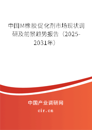 中國M橡膠促化劑市場現(xiàn)狀調研及前景趨勢報告（2025-2031年）