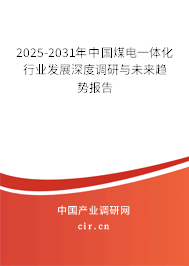 2025-2031年中國煤電一體化行業(yè)發(fā)展深度調(diào)研與未來趨勢報告 2025-2031年中國煤電一體化行業(yè)發(fā)展深度調(diào)研與未來趨勢報告