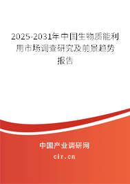2025-2031年中國(guó)生物質(zhì)能利用市場(chǎng)調(diào)查研究及前景趨勢(shì)報(bào)告