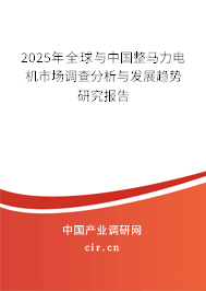 2025年全球與中國整馬力電機市場調(diào)查分析與發(fā)展趨勢研究報告