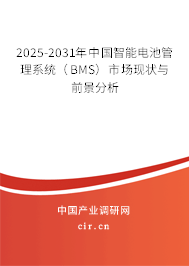 2025-2031年中國智能電池管理系統(tǒng)(BMS)市場現(xiàn)狀與前景分析 2025-2031年中國智能電池管理系統(tǒng)(BMS)市場現(xiàn)狀與前景分析