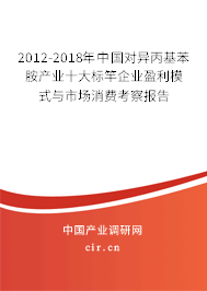 2012-2018年中國對異丙基苯胺產(chǎn)業(yè)十大標竿企業(yè)盈利模式與市場消費考察報告
