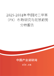 2025-2031年中國對二甲苯（PX）市場研究與前景趨勢分析報告