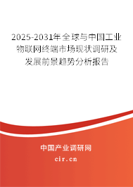 2025-2031年全球與中國工業(yè)物聯(lián)網(wǎng)終端市場現(xiàn)狀調(diào)研及發(fā)展前景趨勢分析報(bào)告