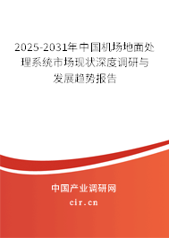 2025-2031年中國機(jī)場地面處理系統(tǒng)市場現(xiàn)狀深度調(diào)研與發(fā)展趨勢報(bào)告