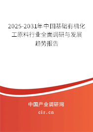 中國基礎有機化工原料行業(yè)調(diào)查分析及發(fā)展趨勢預測報告(2025-2031年) 中國基礎有機化工原料行業(yè)調(diào)查分析及發(fā)展趨勢預測報告(2025-2031年)