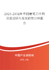 2024-2030年中國卷筆刀市場深度調(diào)研與發(fā)展趨勢分析報告