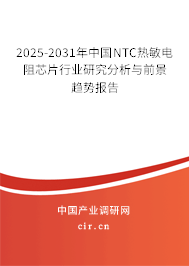 2025-2031年中國NTC熱敏電阻芯片行業(yè)研究分析與前景趨勢報告