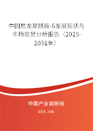 中國尼龍聚酰胺-6發(fā)展現(xiàn)狀與市場前景分析報告（2025-2031年）