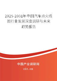 2025-2031年中國汽車點火線圈行業(yè)發(fā)展深度調(diào)研與未來趨勢報告