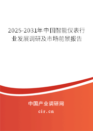 2025-2031年中國智能儀表行業(yè)發(fā)展調(diào)研及市場(chǎng)前景報(bào)告