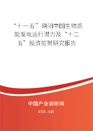 “十一五”期間中國生物質(zhì)能發(fā)電運行潛力及“十二五”投資前景研究報告