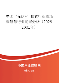 中國“光伏+”模式行業(yè)市場調研與行業(yè)前景分析（2025-2031年）