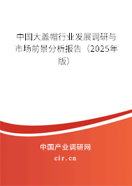 中國大蓋帽行業(yè)發(fā)展調(diào)研與市場前景分析報告(2025年版) 中國大蓋帽行業(yè)發(fā)展調(diào)研與市場前景分析報告(2025年版)