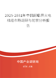 2025-2031年中國(guó)超臨界火電機(jī)組市場(chǎng)調(diào)研與前景分析報(bào)告