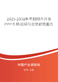 2025-2031年中國(guó)城市開(kāi)發(fā)PPP市場(chǎng)調(diào)研與前景趨勢(shì)報(bào)告