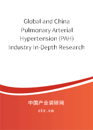 Global and China Pulmonary Arterial Hypertension (PAH) Industry In-Depth Research and Market Outlook Report 2021-2027 Global and China Pulmonary Arterial Hypertension (PAH) Industry In-Depth Research and Market Outlook Report 2021-2027