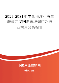 2025-2031年中國海洋可再生能源開發(fā)利用市場調研及行業(yè)前景分析報告