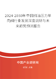 2024-2030年中國機油壓力單向閥行業(yè)發(fā)展深度調研與未來趨勢預測報告