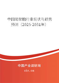 中國葡聚糖行業(yè)現(xiàn)狀與趨勢預(yù)測(2025-2031年) 中國葡聚糖行業(yè)現(xiàn)狀與趨勢預(yù)測(2025-2031年)