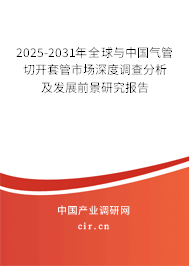 2025-2031年全球與中國氣管切開套管市場深度調查分析及發(fā)展前景研究報告 2025-2031年全球與中國氣管切開套管市場深度調查分析及發(fā)展前景研究報告