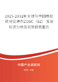 2025-2031年全球與中國橡膠硫化促進(jìn)劑ZDBC（BZ）發(fā)展現(xiàn)狀分析及前景趨勢(shì)報(bào)告