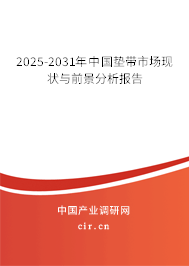 2025-2031年中國墊帶市場現(xiàn)狀與前景分析報告