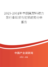 2025-2031年中國氟塑料磁力泵行業(yè)現(xiàn)狀與前景趨勢分析報(bào)告 2025-2031年中國氟塑料磁力泵行業(yè)現(xiàn)狀與前景趨勢分析報(bào)告