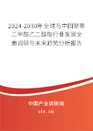 2024-2030年全球與中國(guó)聚萘二甲酸乙二醇酯行業(yè)發(fā)展全面調(diào)研與未來趨勢(shì)分析報(bào)告 2024-2030年全球與中國(guó)聚萘二甲酸乙二醇酯行業(yè)發(fā)展全面調(diào)研與未來趨勢(shì)分析報(bào)告