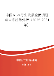 中國(guó)NGN行業(yè)發(fā)展全面調(diào)研與未來趨勢(shì)分析(2025-2031年) 中國(guó)NGN行業(yè)發(fā)展全面調(diào)研與未來趨勢(shì)分析(2025-2031年)