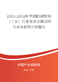 2025-2031年中國四硼酸鈉（十水）行業(yè)發(fā)展全面調(diào)研與未來趨勢分析報告
