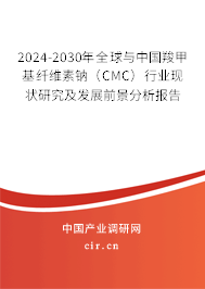 2024-2030年全球與中國(guó)羧甲基纖維素鈉（CMC）行業(yè)現(xiàn)狀研究及發(fā)展前景分析報(bào)告