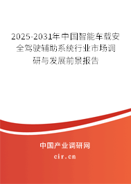 2025-2031年中國智能車載安全駕駛輔助系統(tǒng)行業(yè)市場(chǎng)調(diào)研與發(fā)展前景報(bào)告