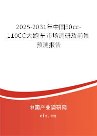 2025-2031年中國50cc-110CC大跑車市場調研及前景預測報告 2025-2031年中國50cc-110CC大跑車市場調研及前景預測報告