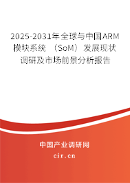 2025-2031年全球與中國(guó)ARM模塊系統(tǒng) (SoM)發(fā)展現(xiàn)狀調(diào)研及市場(chǎng)前景分析報(bào)告 2025-2031年全球與中國(guó)ARM模塊系統(tǒng) (SoM)發(fā)展現(xiàn)狀調(diào)研及市場(chǎng)前景分析報(bào)告