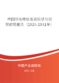 中國導電橡膠發(fā)展現(xiàn)狀與前景趨勢報告(2025-2031年) 中國導電橡膠發(fā)展現(xiàn)狀與前景趨勢報告(2025-2031年)
