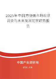 2025年中國方便面市場現(xiàn)狀調(diào)查與未來發(fā)展前景趨勢報告 2025年中國方便面市場現(xiàn)狀調(diào)查與未來發(fā)展前景趨勢報告