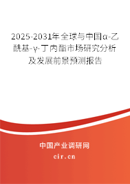 2025-2031年全球與中國(guó)α-乙?；?γ-丁內(nèi)酯市場(chǎng)研究分析及發(fā)展前景預(yù)測(cè)報(bào)告