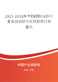 2024-2030年中國磁阻元件行業(yè)發(fā)展調(diào)研與前景趨勢分析報(bào)告