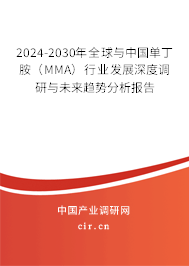 2024-2030年全球與中國(guó)單丁胺（MMA）行業(yè)發(fā)展深度調(diào)研與未來(lái)趨勢(shì)分析報(bào)告