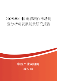 2025年中國電影制作市場調(diào)查分析與發(fā)展前景研究報告