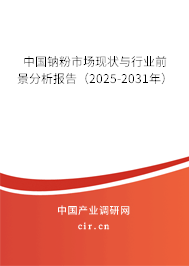 中國鈉粉市場現(xiàn)狀與行業(yè)前景分析報告（2025-2031年）